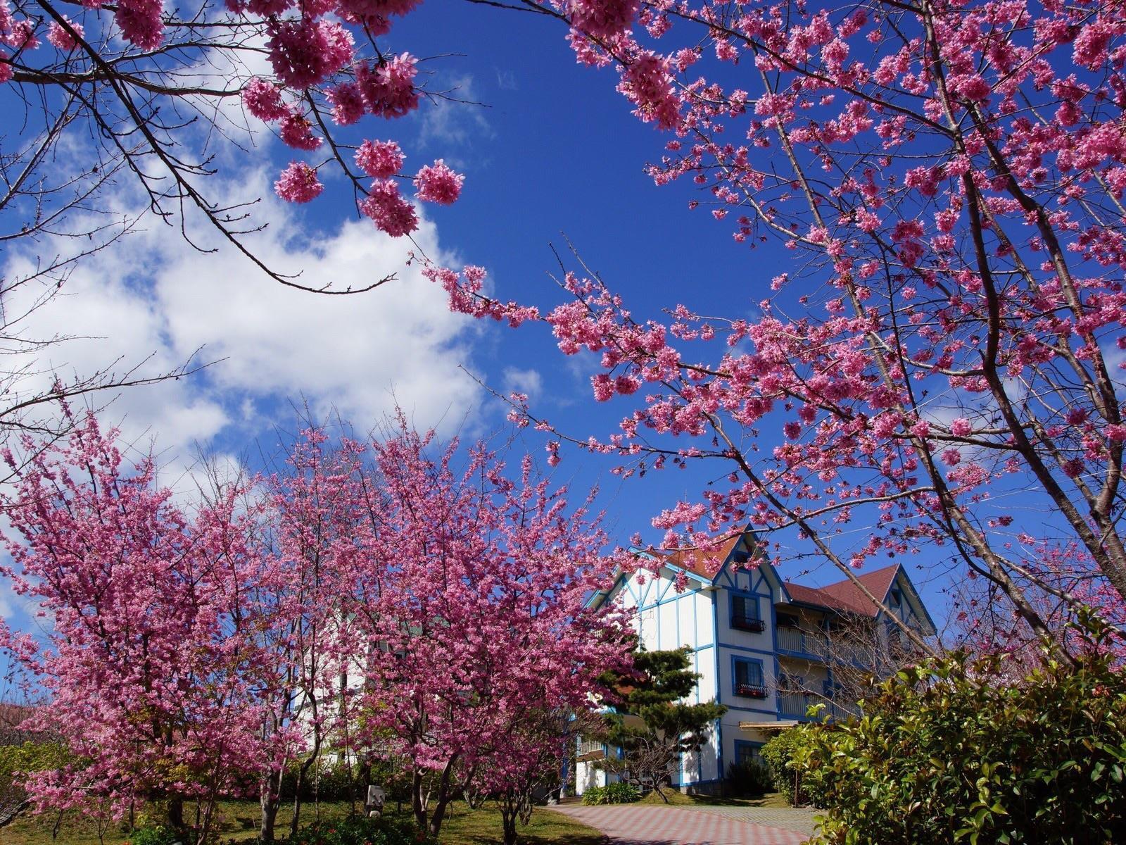 CingJing Mone Garden Resort Renai Exterior foto